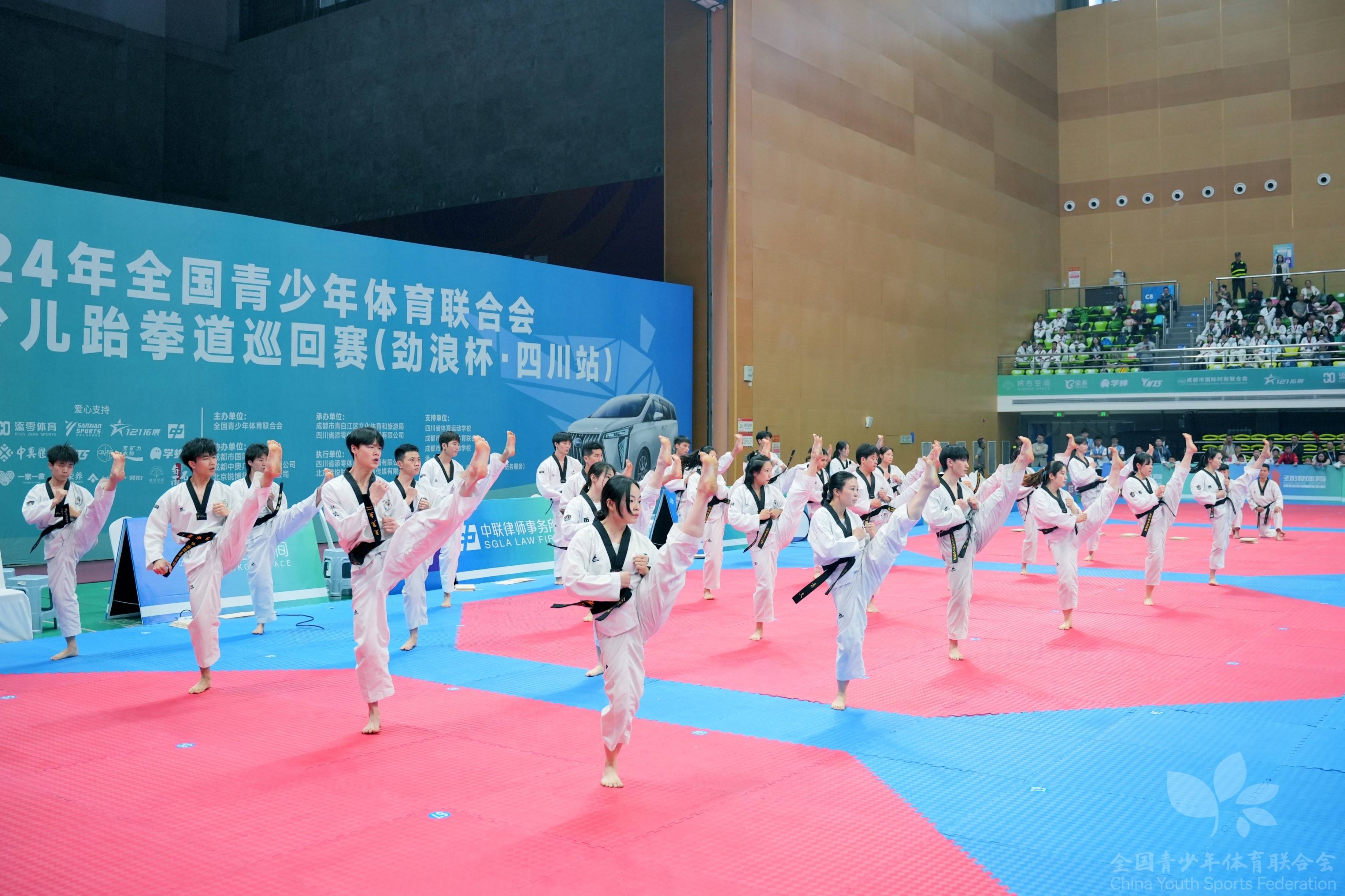 跆拳道比赛中国队发挥稳健，成功夺冠