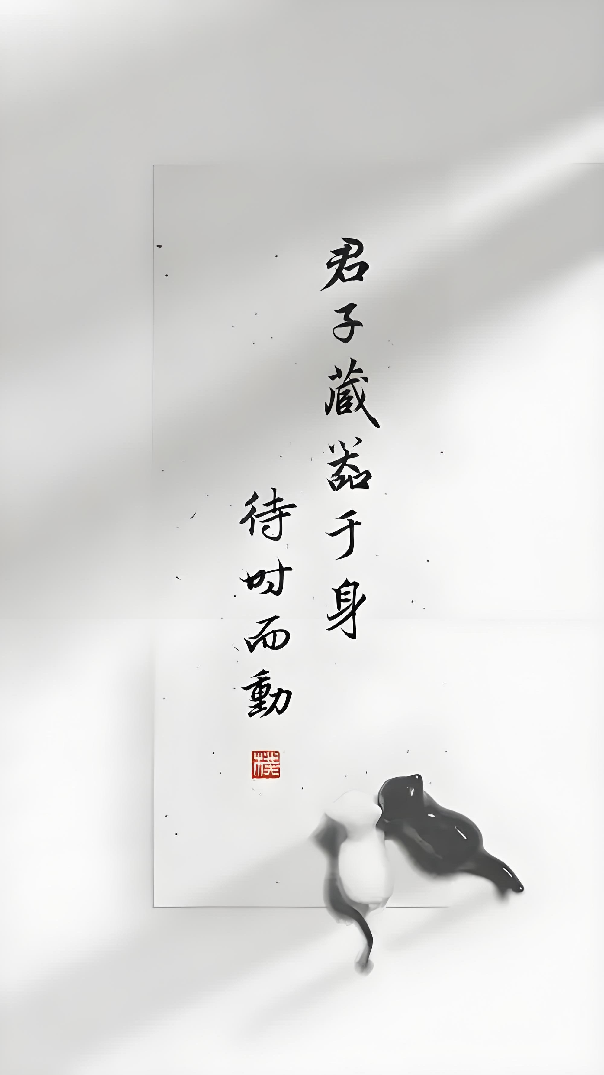 道轻霍夫堡劲拍颤受，暴风不死唯重行出的简单介绍