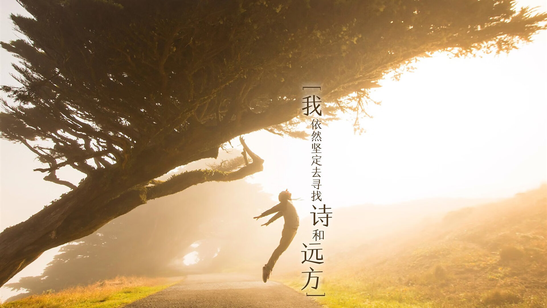 铁骑踏碎巨熊,新星稳如磐石—论切特的稳定输出与骑士的正面碾压