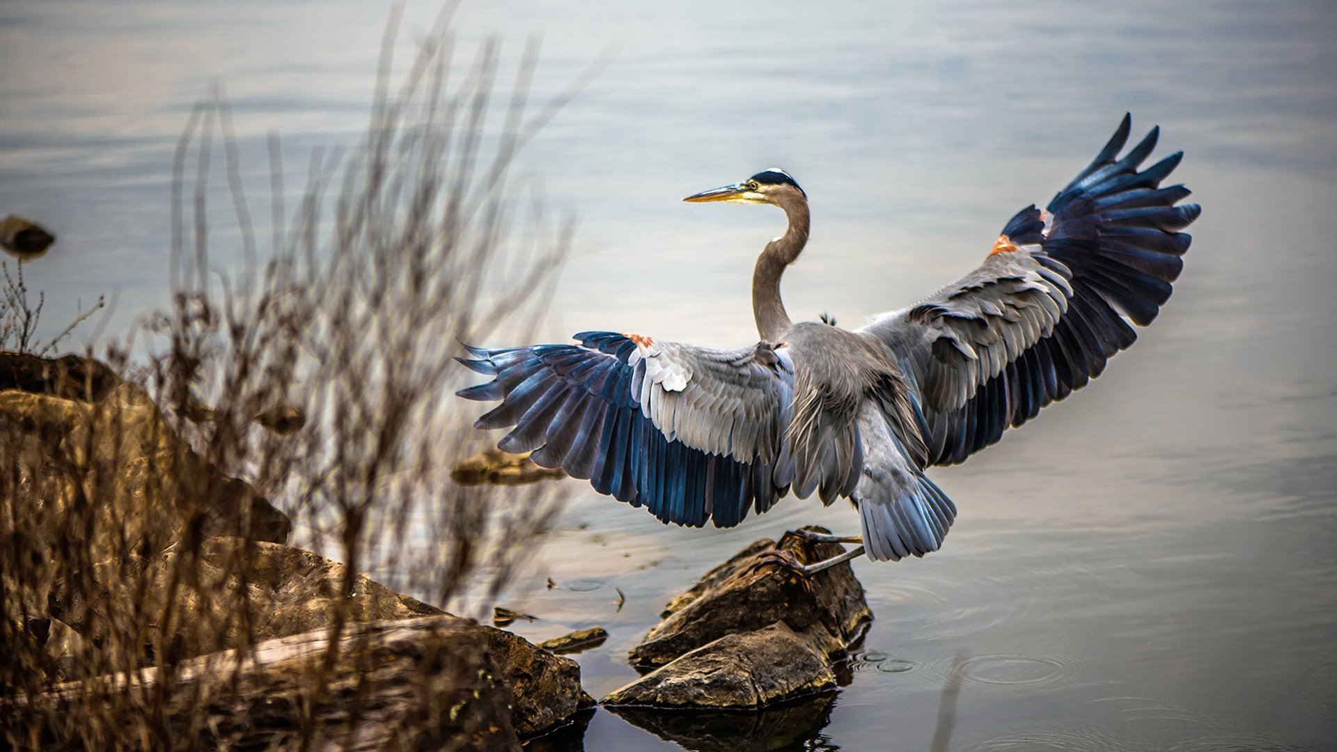 从边境烽火到绿茵战场,火力压制与实力自证的双重奏