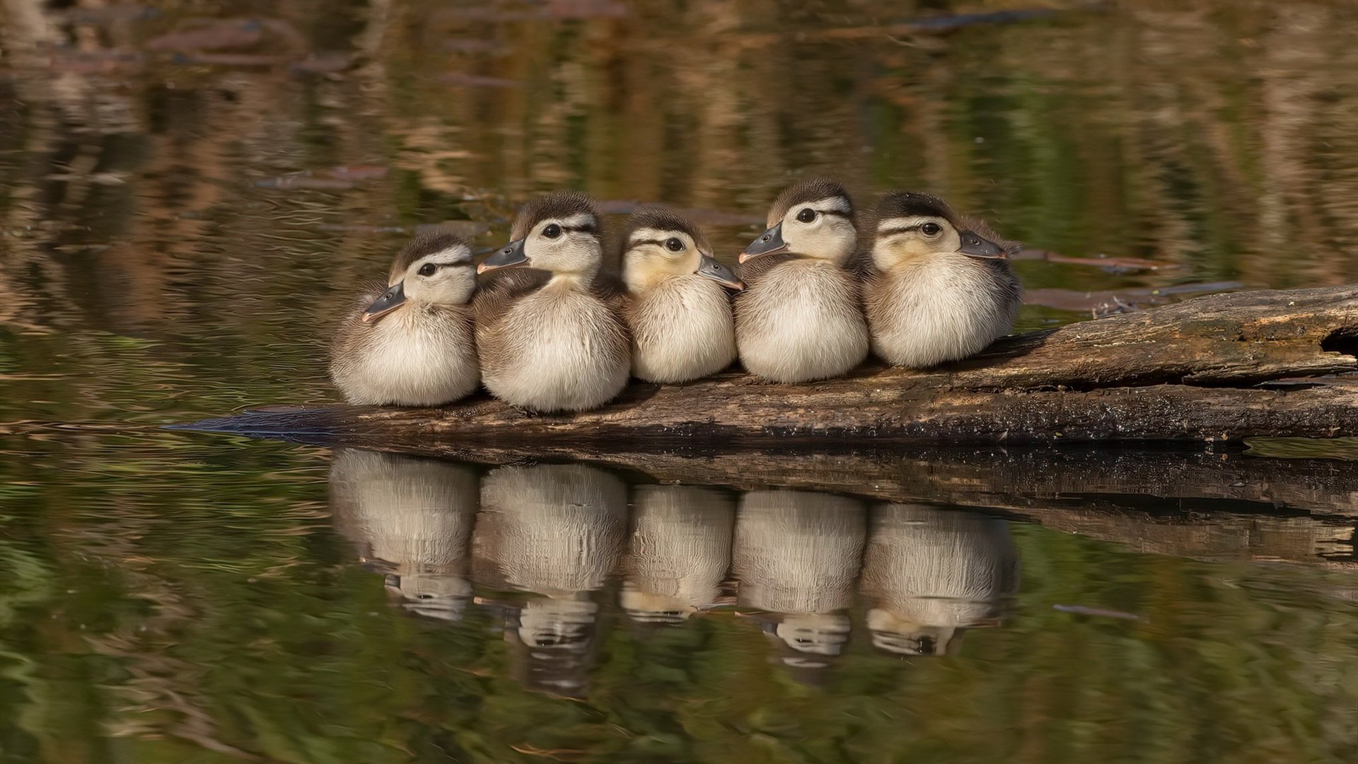 锁死与接管，团队铁壁与孤胆锋芒的交响