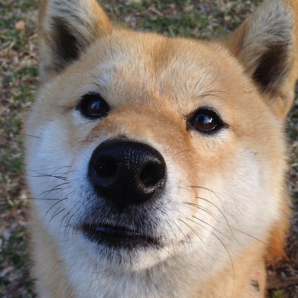 杜兰特末节接管比赛，快船力克76人