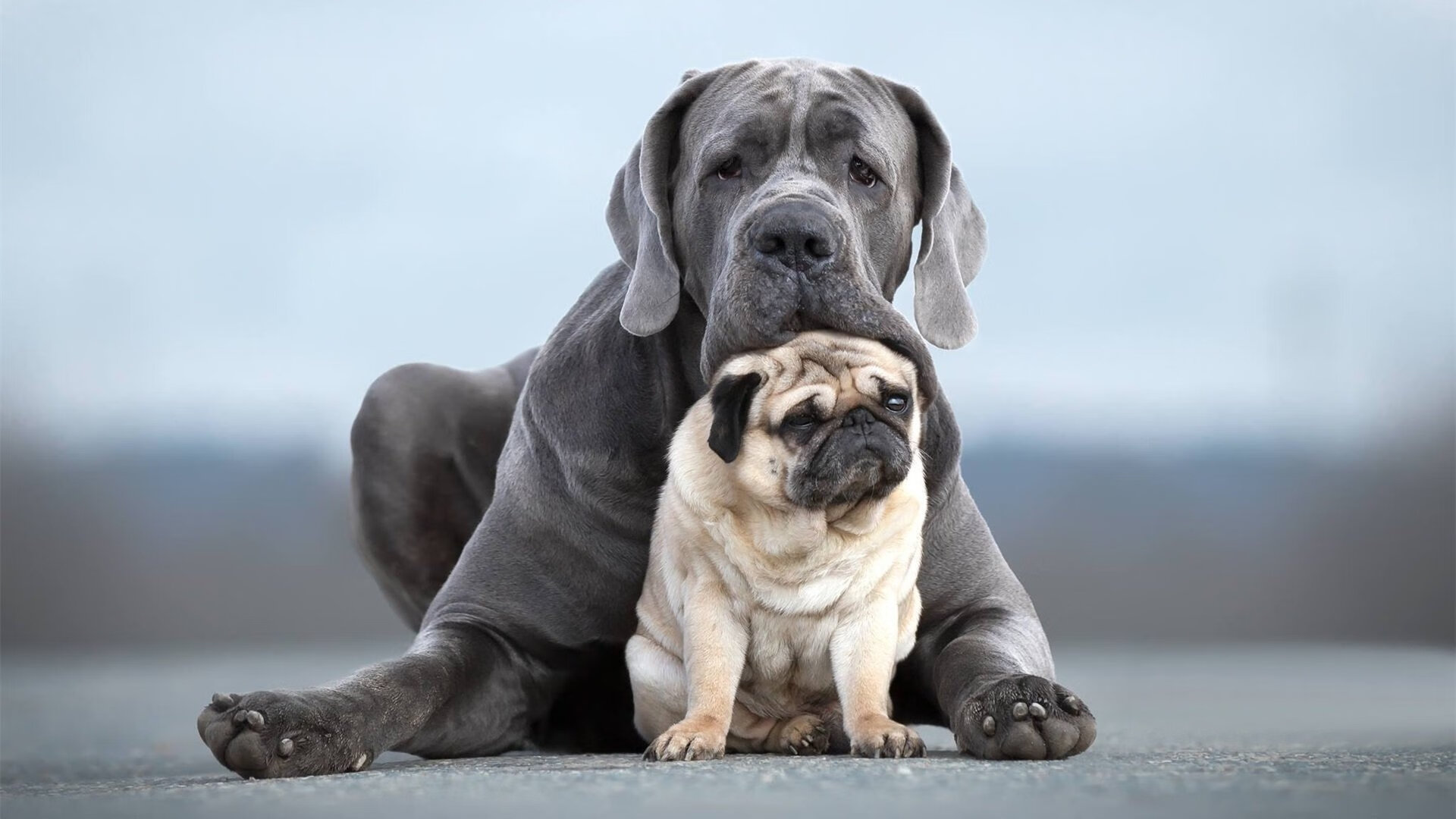 唯美的精确，致命的舞蹈，当公牛刺穿老鹰，拉梅洛于欧冠奏响终章