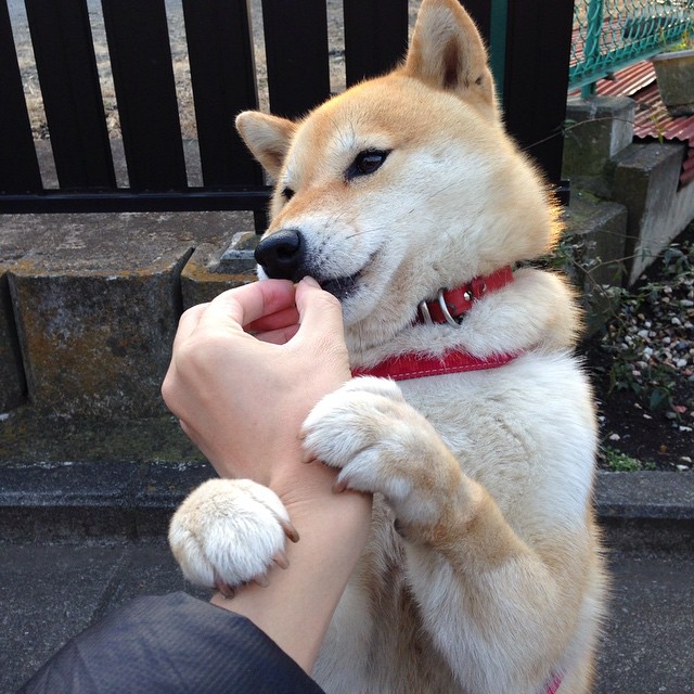 东方式智慧击败美式天赋，浙江队力克76人，恩比德防守端显统治力