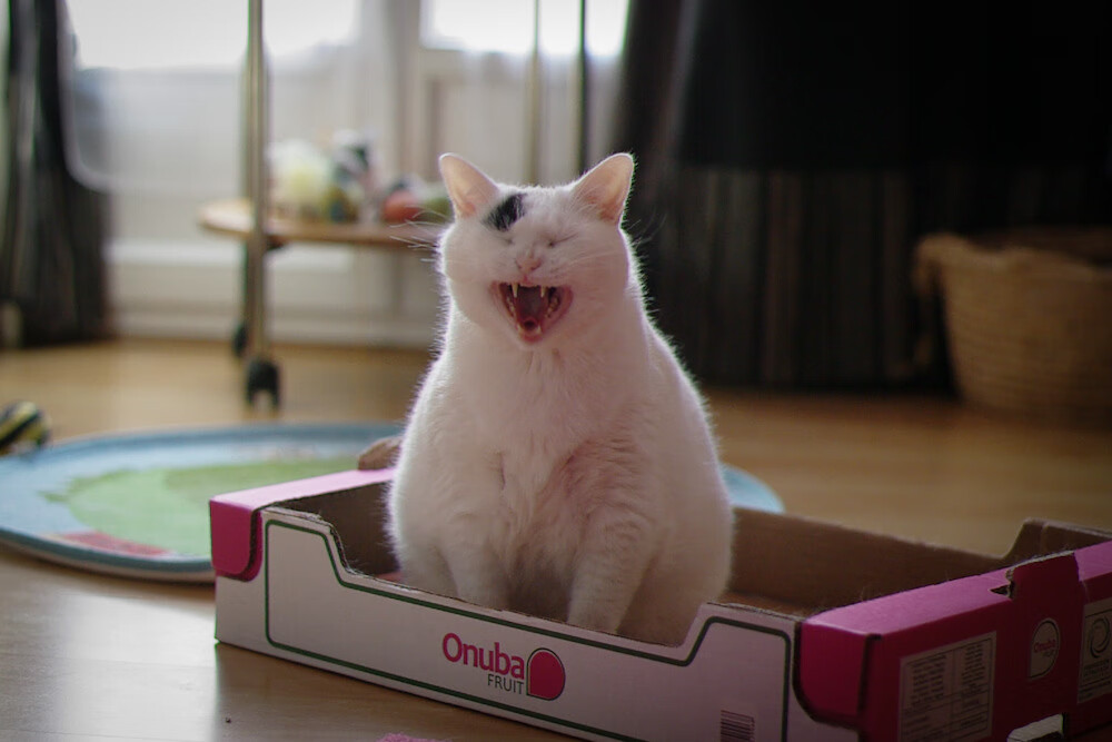 久保建英关键节点连击制胜，日本队力克沙特占得出线先机