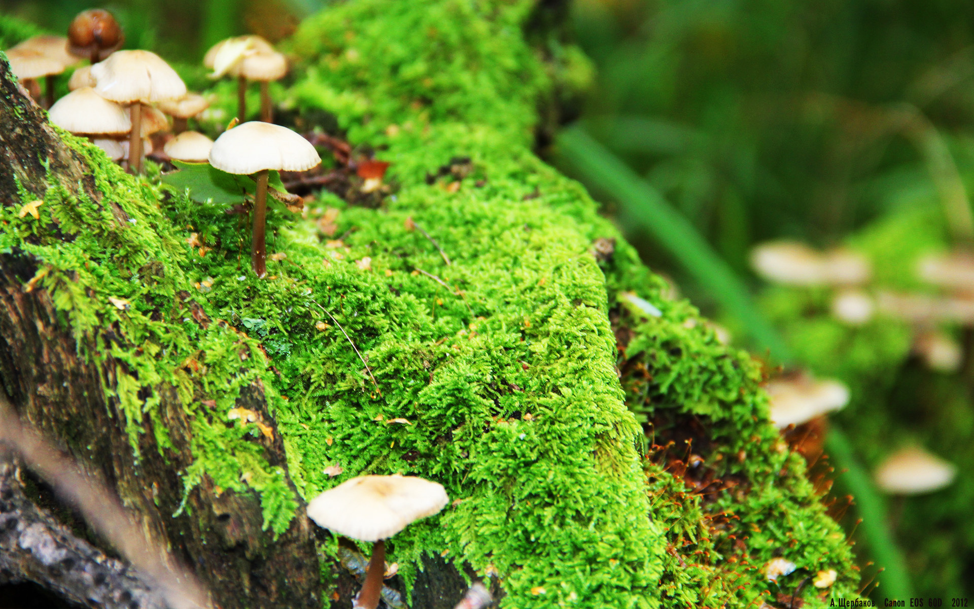 争冠与崛起，两个赛场，同一种心跳