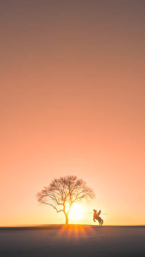 特奥一剑封喉，那一脚如何刺穿日本足球的华丽幕布