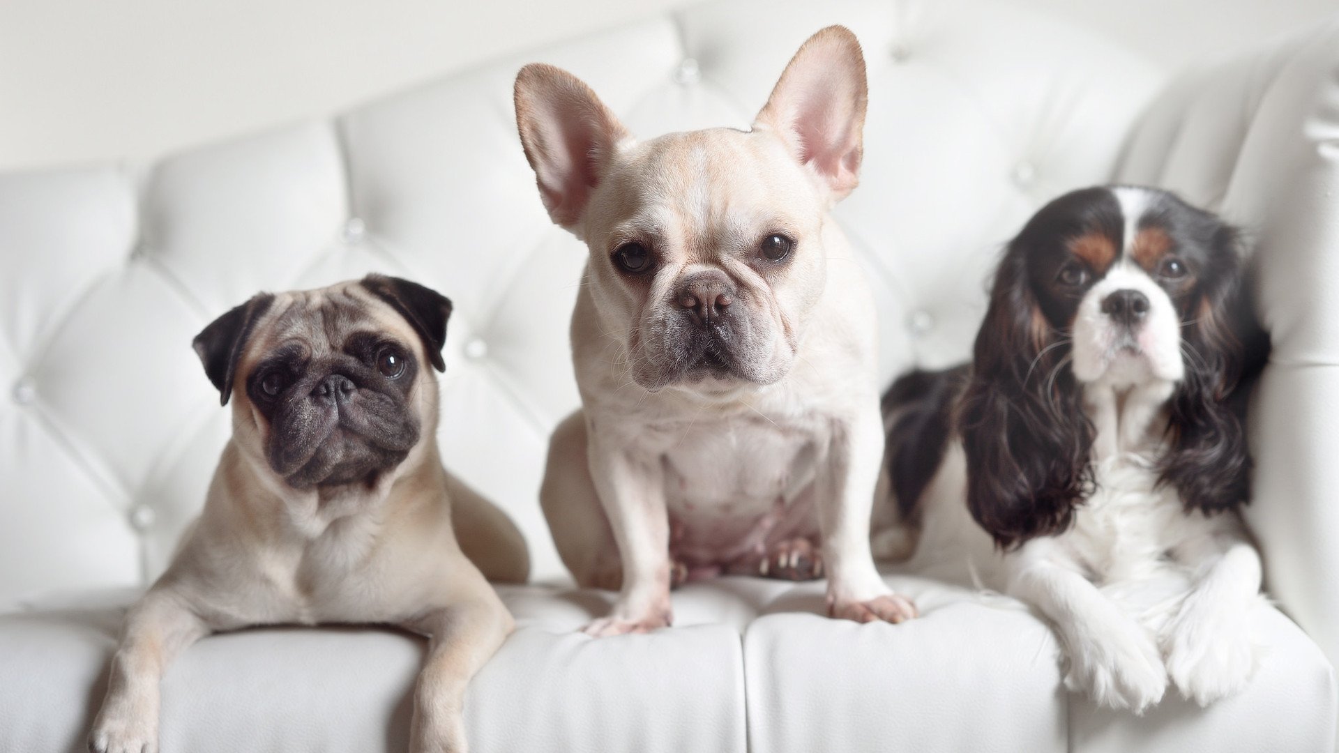 冰与火的碰撞，当太阳灼伤华南虎，大场面先生正在重新定义篮球