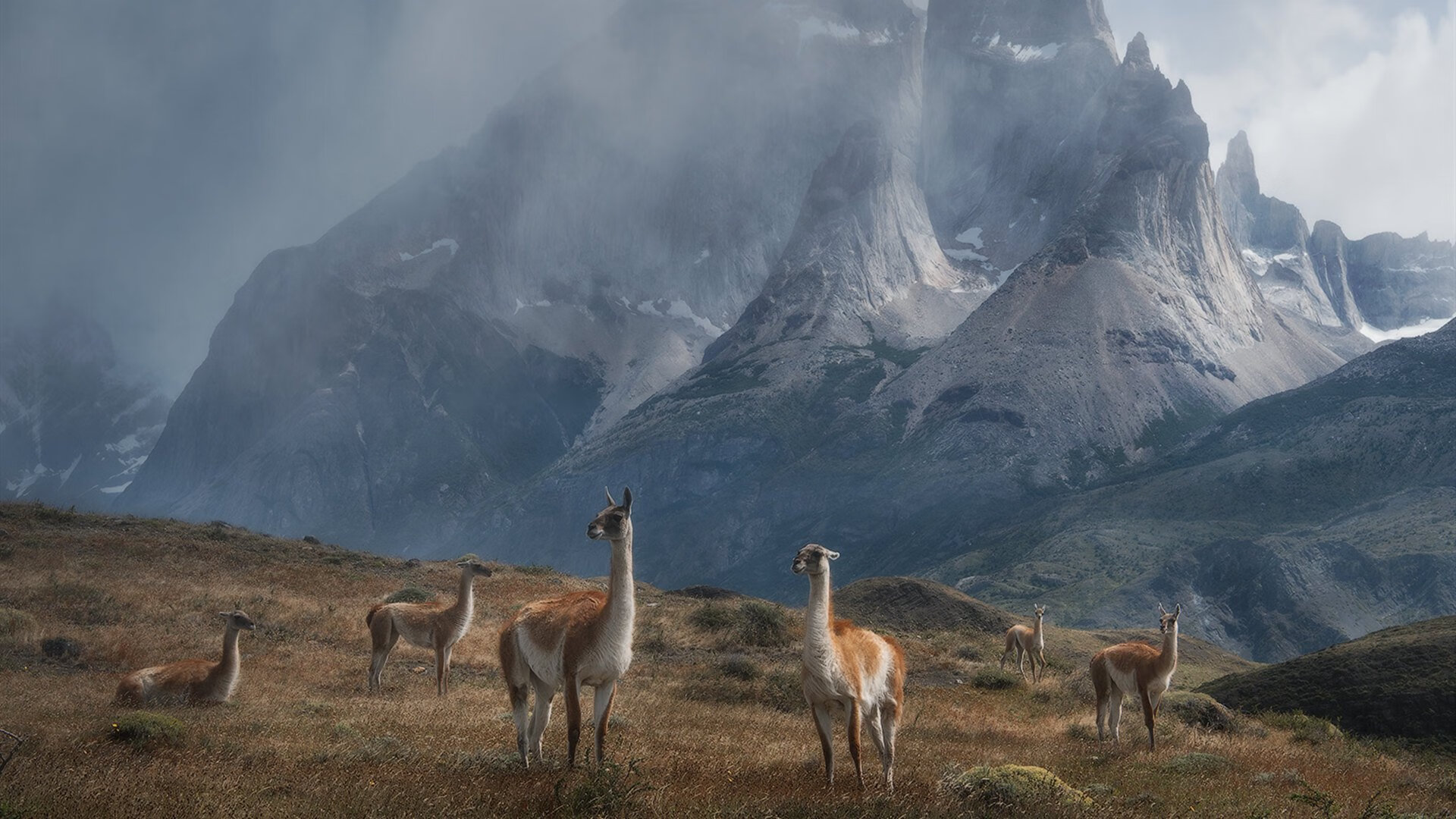 传奇永不熄火，阿拉巴与F1新赛季的烈焰揭幕战