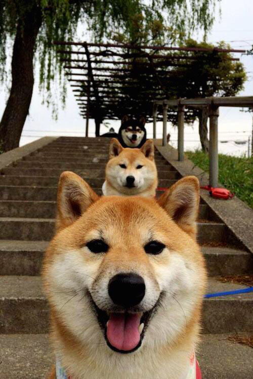 F1新赛季揭幕战之夜，布克节奏完全掌控