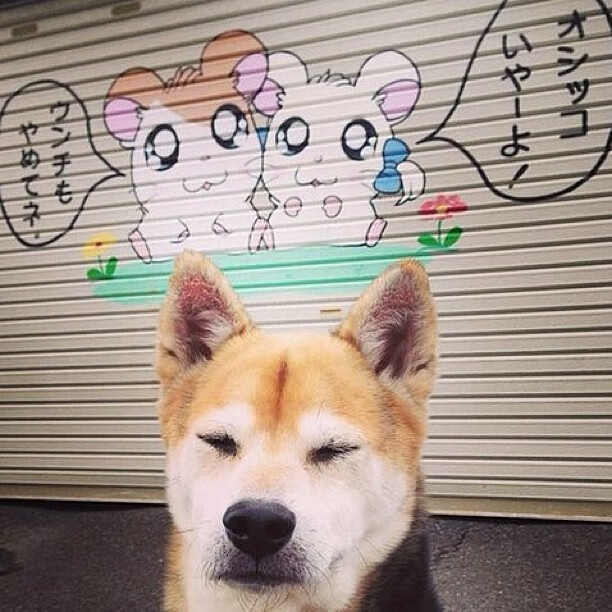 开云体育app-墨西哥速胜哥斯达黎加，布雷默在焦点战证明自己