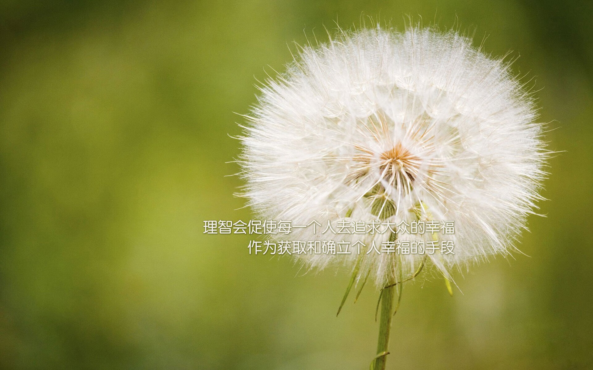 钢铁战车折戟北欧,范戴克定海神针,德意志攻守转换梦碎2026