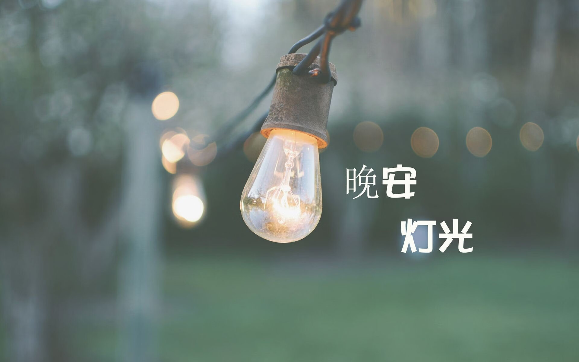 沙漠之狐的咆哮,突尼斯大胜芬兰,塔雷米独造三球震撼2026世界杯